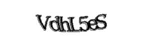 Security check image, please type the characters shown